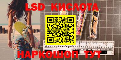 гашик Кимры